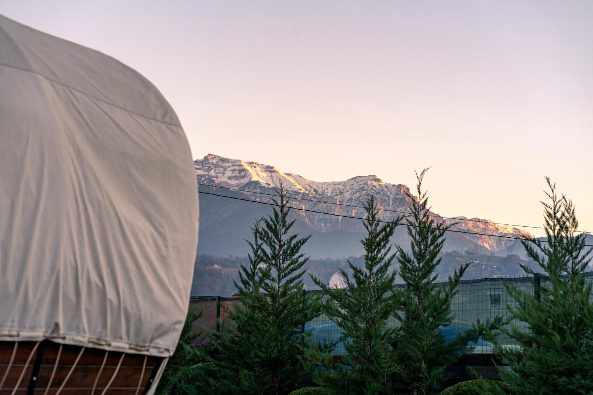Glamp In Style Pods Resort Törcsvár Kültér fotó